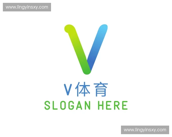 初识V体育官方入口